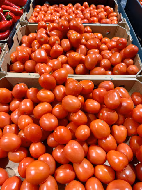Tomate Italiano (kg)